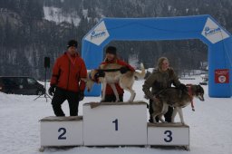 Lenk 2012 SM
